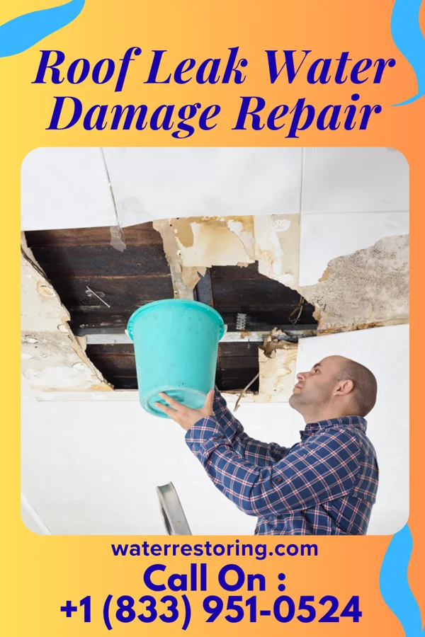 Roof Leak Water Damage Repair in Lexington, NE